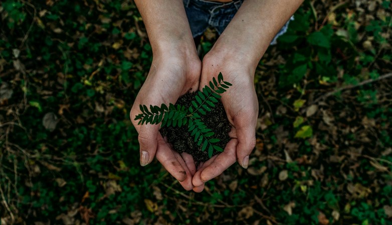 Green transition