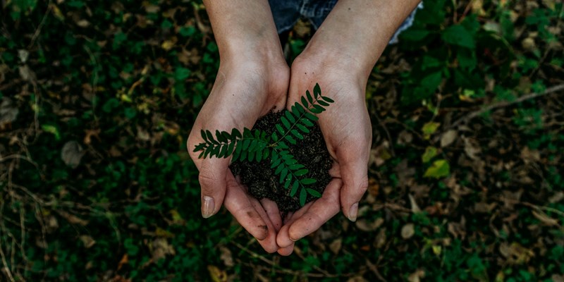 Green transition