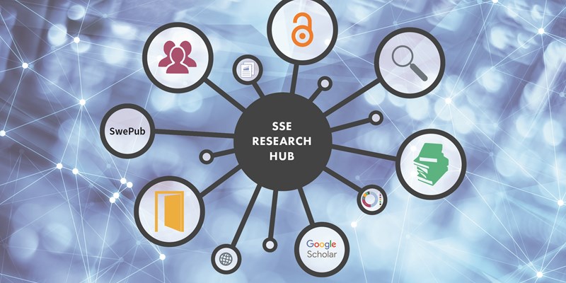 illu_SSE-Research-Hub_2024-03-14_final.jpg