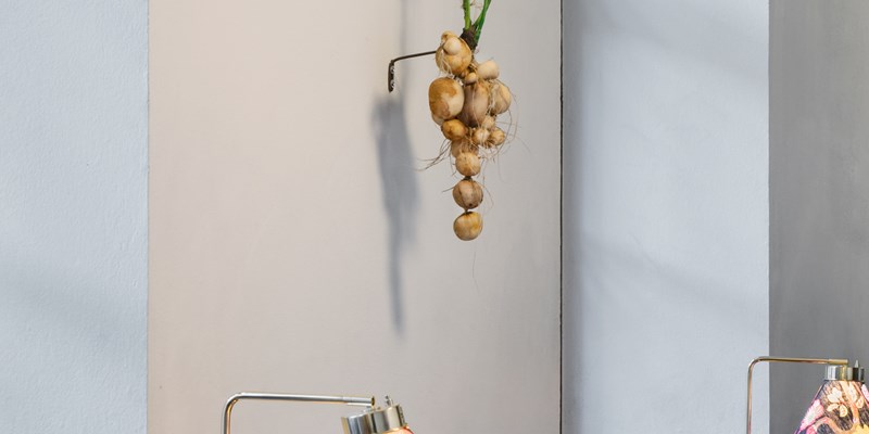 Solanum V, Moa Israelsson, installation view