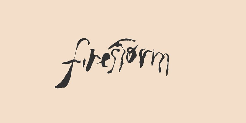 Firestorm Foundation logo