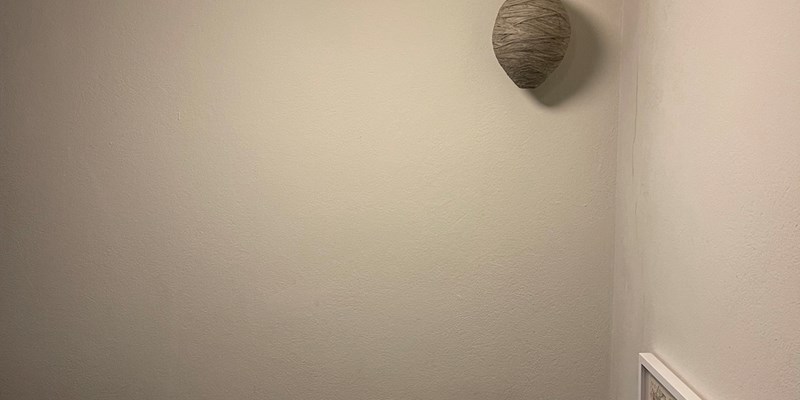 Wasps nest by Helena Mutanen